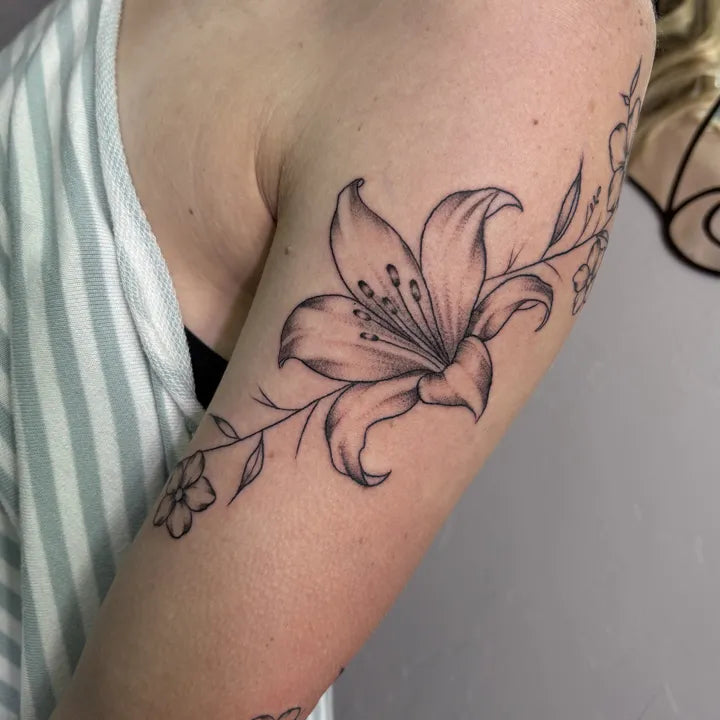 Soft Shaded Lily