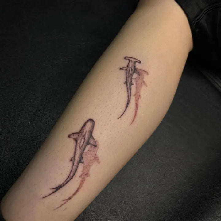 Graceful Shark Pair